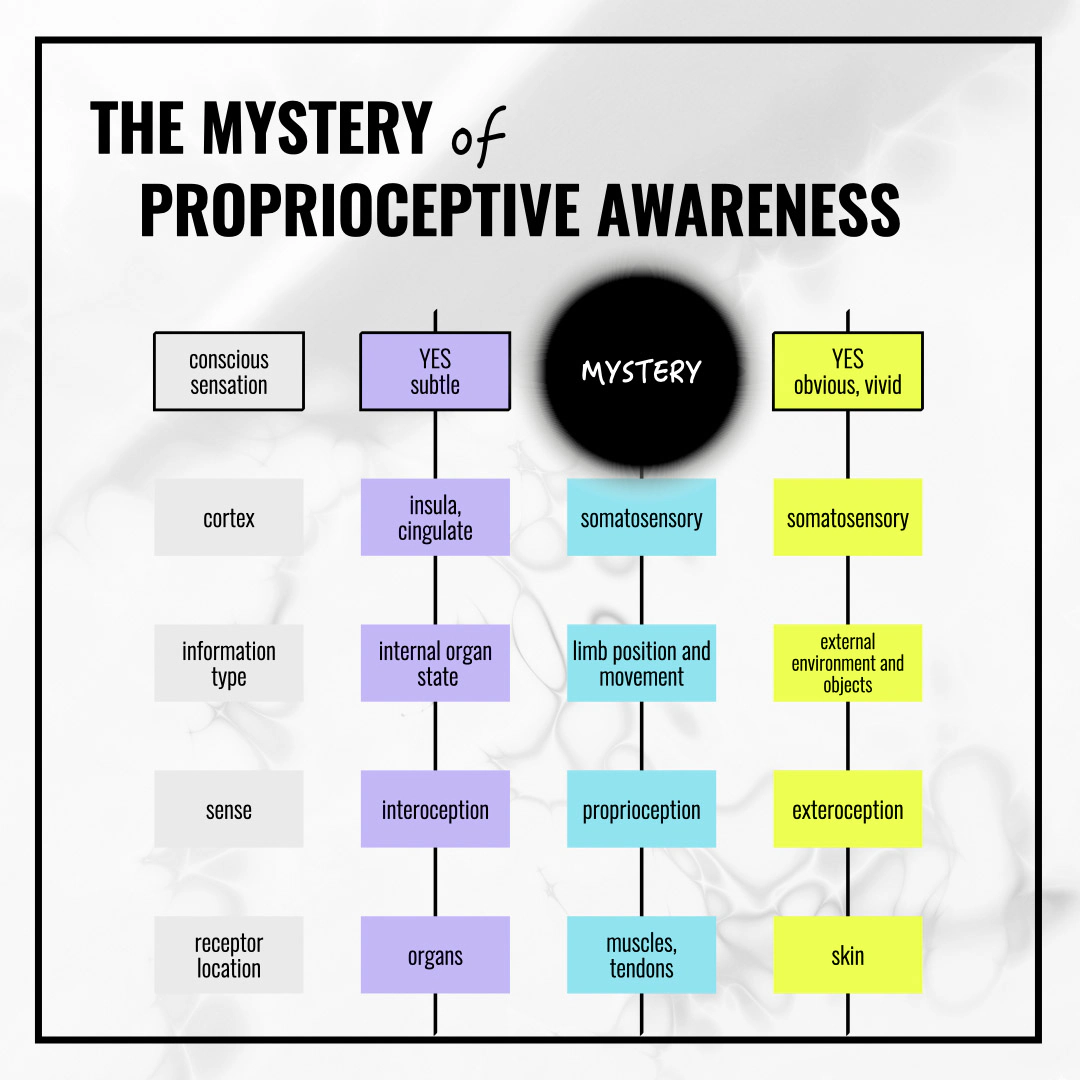 Diagram comparing interoception, proprioception, and exteroception across conscious sensation, cortical area, information type, and receptor location—proprioception is marked as MYSTERY