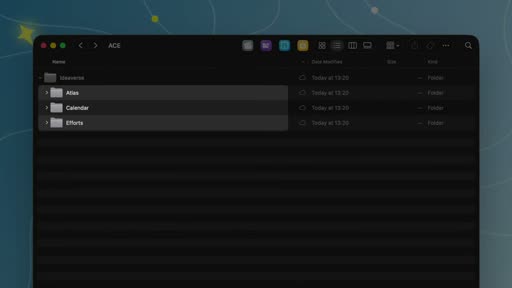 ACE folder structure — macOS Finder