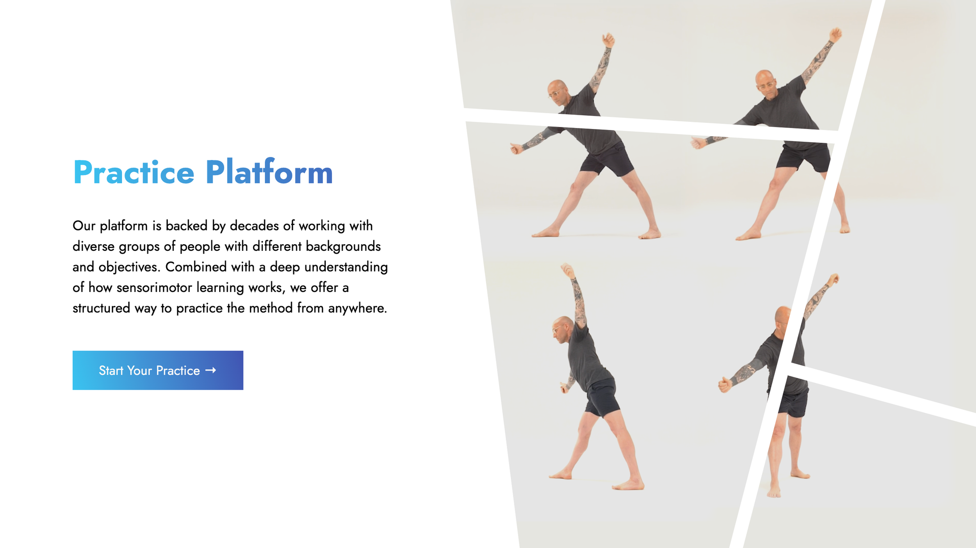 Metaphysical Body — Brain Fodder